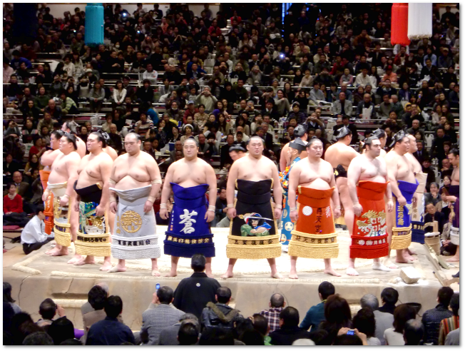 20100116-sumo-04.png