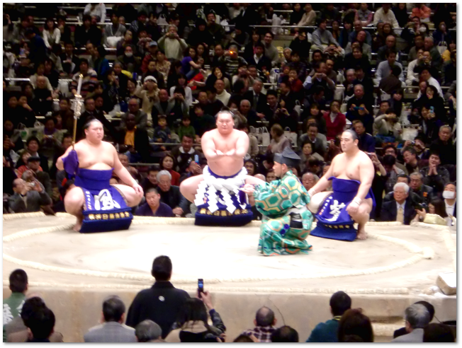 20100116-sumo-05.png