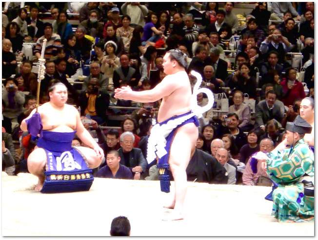 20100116-sumo-06.png