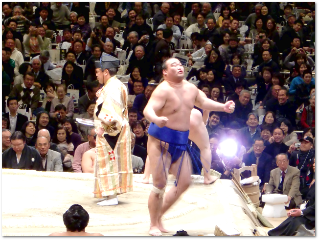 20100116-sumo-07.png