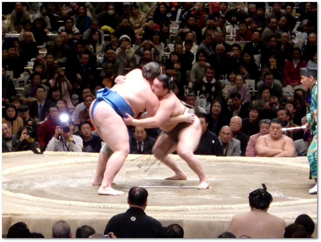 20100116-sumo-09.png