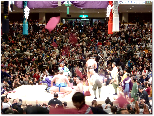 20100116-sumo-10.png