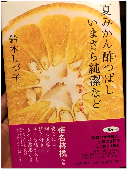 20170614-suzuki-shizuko-book.png